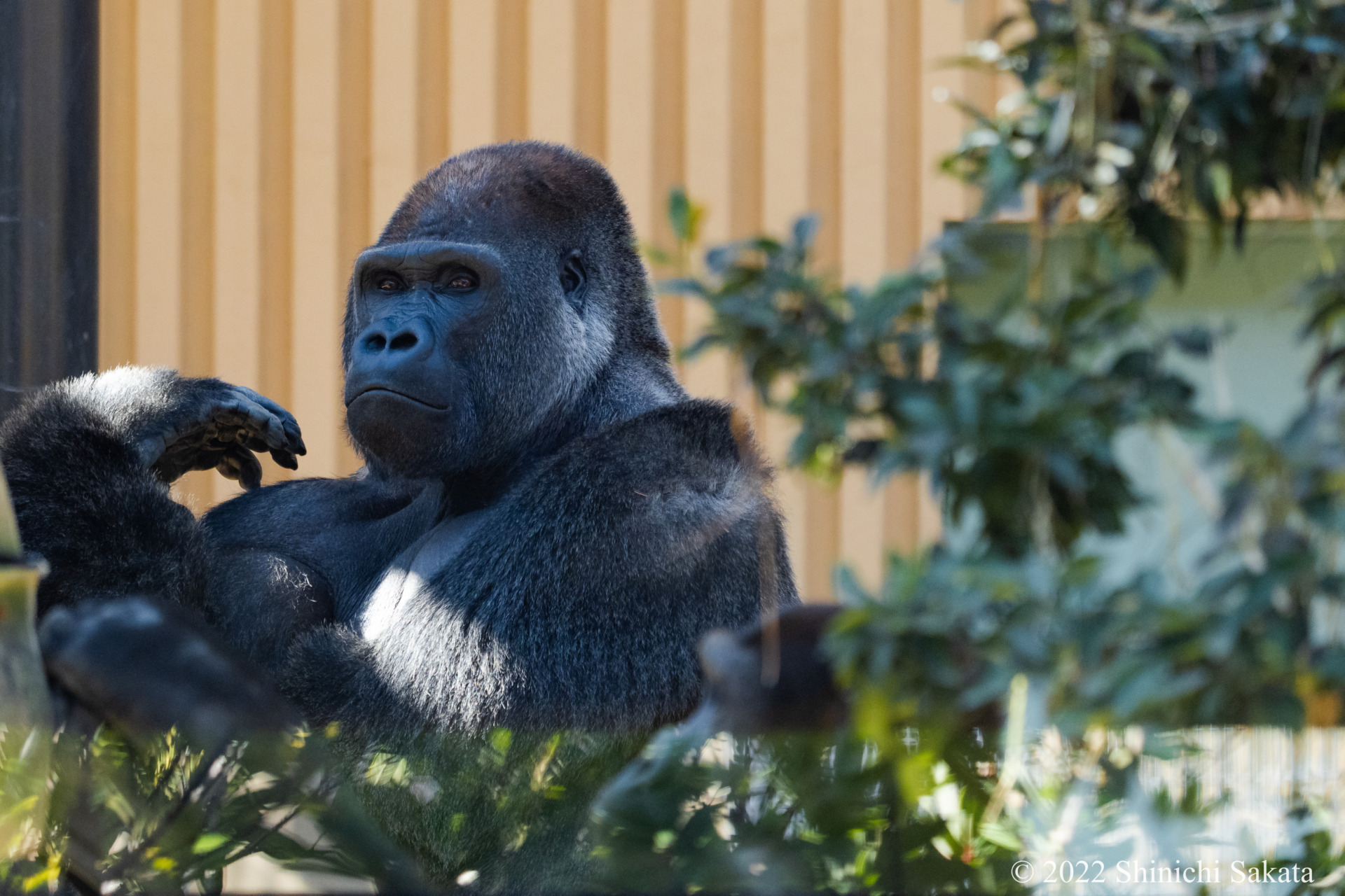 雑誌 Brutus No 960 人生変えちゃう １泊旅 マガジンハウス